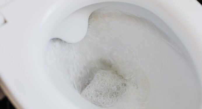 Entupimento no vaso sanitário: o que fazer e o que evitar