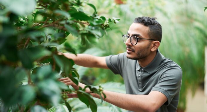 Jardinagem consciente: como cuidar do seu jardim sem atrair insetos indesejados