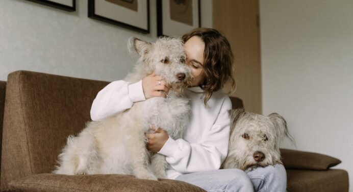 Tenho pets em casa: Como proteger minha família e os animais de insetos indesejados?
