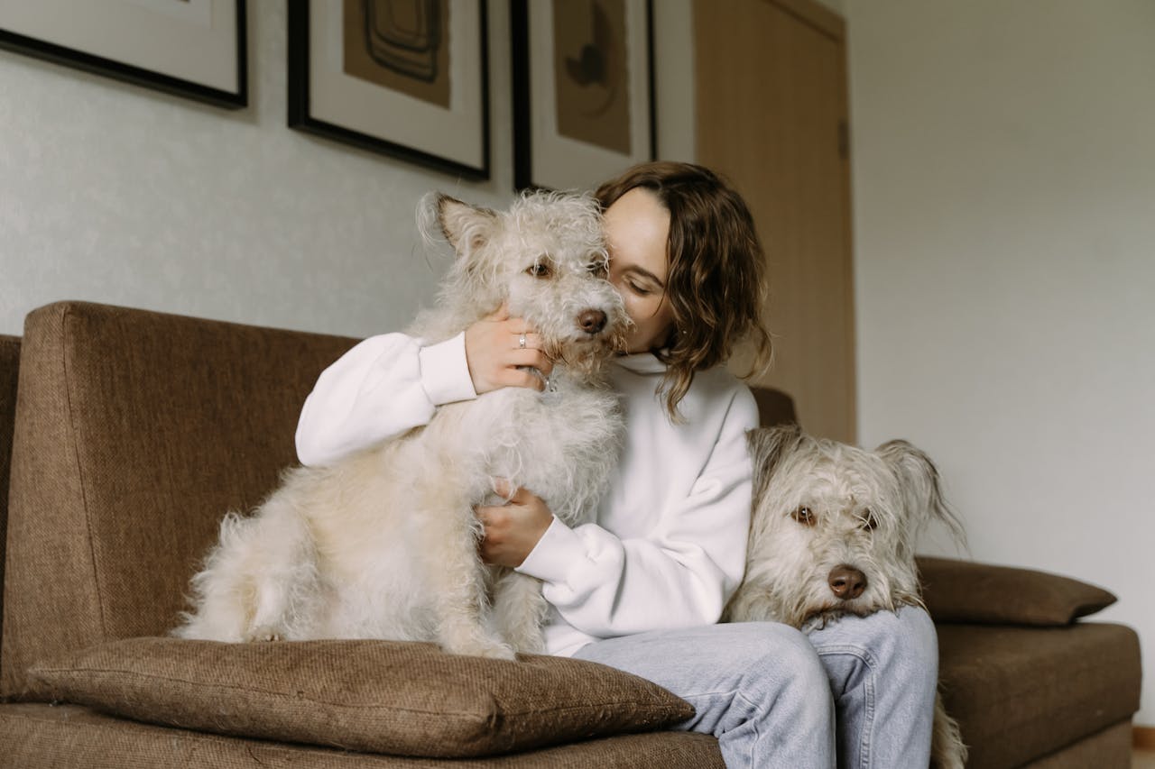 pets em casa