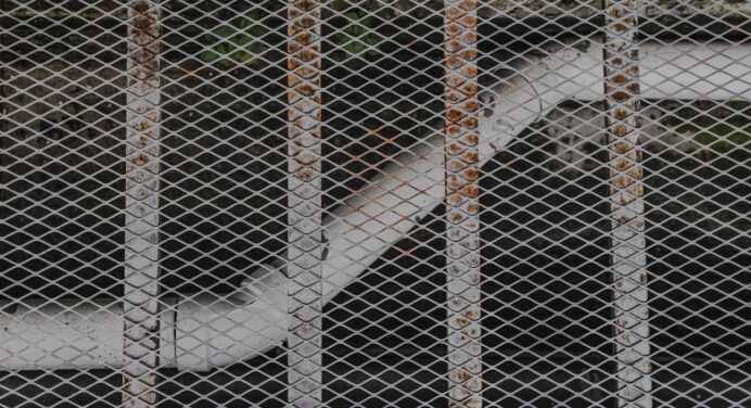 Diferença entre canos de PVC e cobre na prevenção de entupimentos