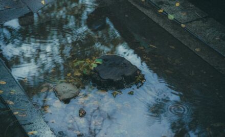 desentupir ralo do quintal cheio de folhas